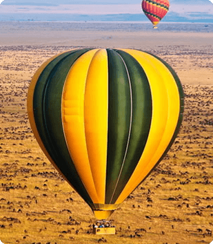 Adventure Safaris